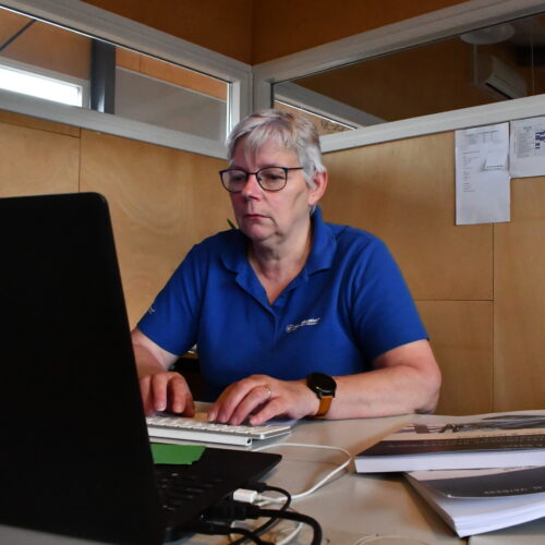 Helmi Janssen